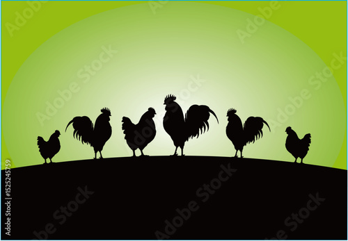landscape with silhouettes of a rooster and hen vector illustration