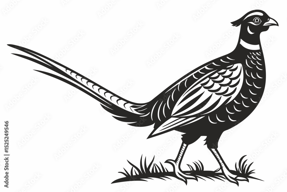 Fototapeta premium pheasant sihouette black vector