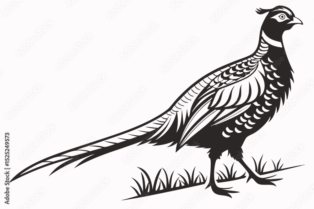 Obraz premium pheasant sihouette black vector
