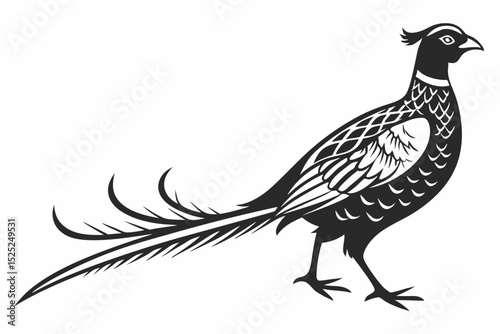 pheasant sihouette black vector