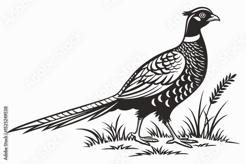 pheasant sihouette black vector