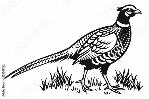 pheasant sihouette black vector