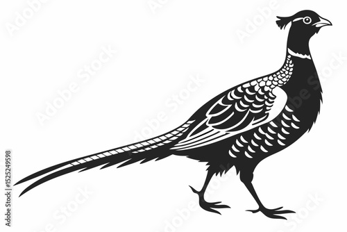 pheasant sihouette black vector