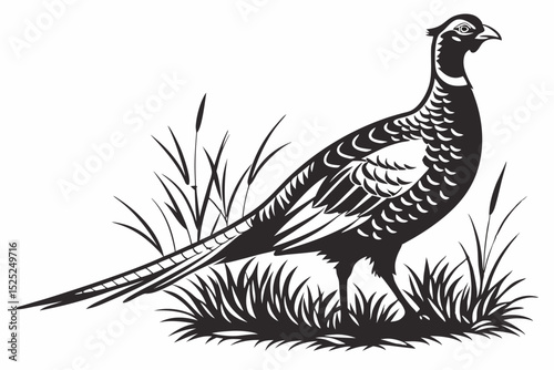pheasant sihouette black vector
