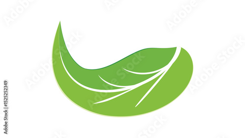 Plant 7: Abstract vector leaves in flat style