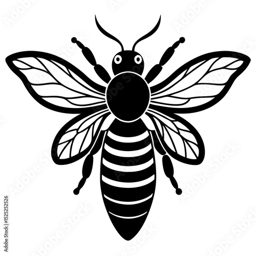 bee and flower vector