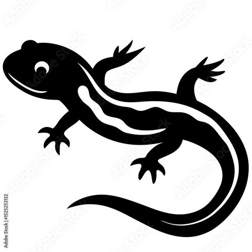 lizard on white background
