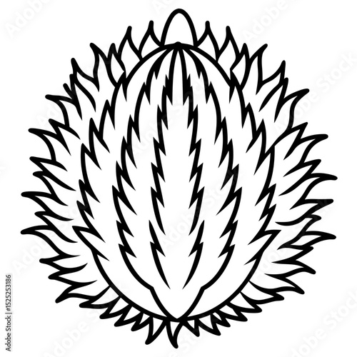 Fruit with Hairy Exterior and Central Seed – Minimalist Line Art Illustration