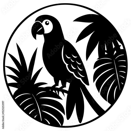 vector illustration of a bird