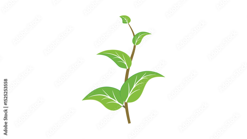 Fototapeta premium Plant 5: Abstract vector leaves in flat style