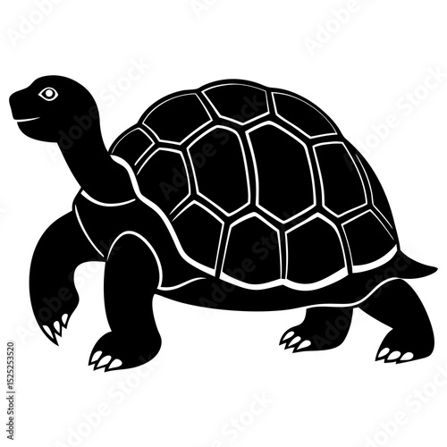 turtle vector illustration