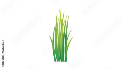Plant 8: Blades of grass vector design on white background