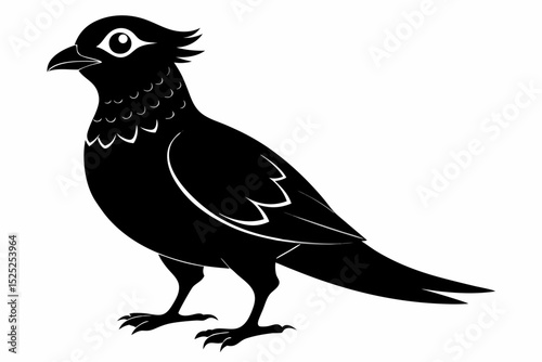 nightjar sihouette black vector