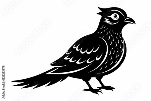 nightjar sihouette black vector
