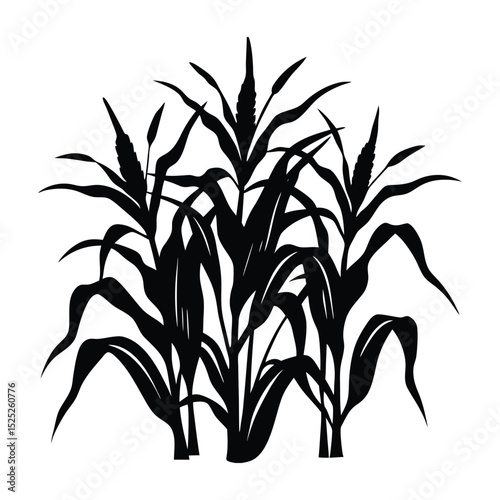 create corn stalk silhouette.