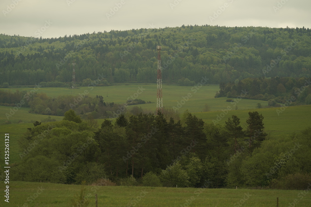 Obraz premium landscape with trees