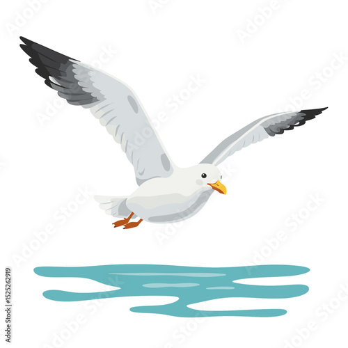 A seagull soars above a small, stylized patch of blue water, wings spread wide in flight.