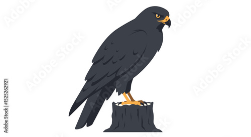 A dark bird of prey, with a sharp beak, is perched on a tree stump against a white background.