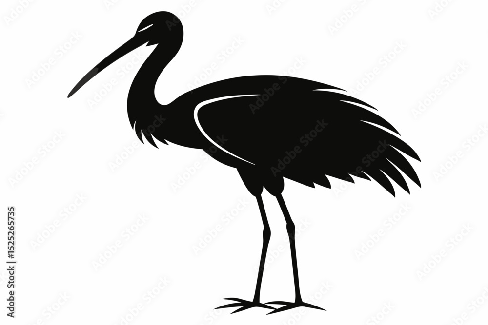 Obraz premium stork sihouette black vector
