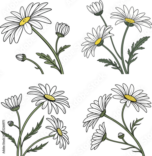 set of flowers