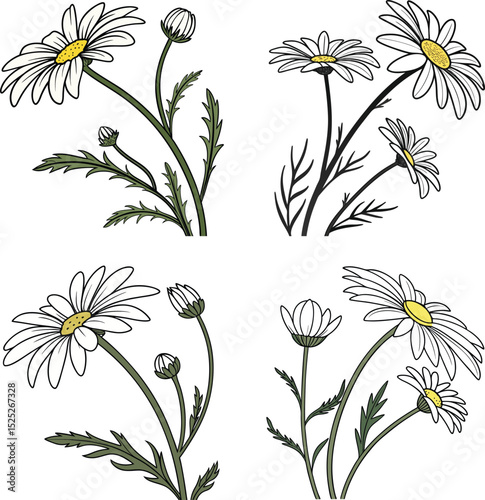 seamless pattern with camomiles