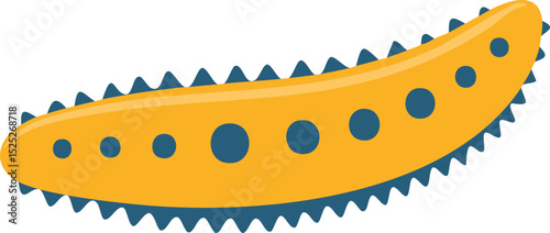 vector illustration of a Sea cucumber