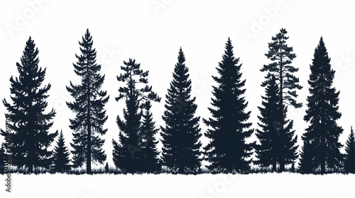 Silhouetted coniferous forest showcasing diverse tree species against a bright backdrop