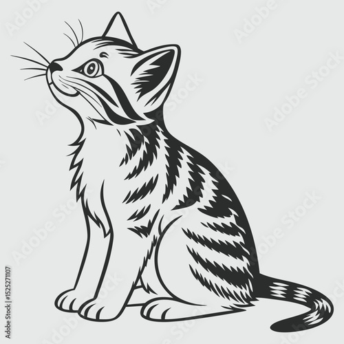 cat vector