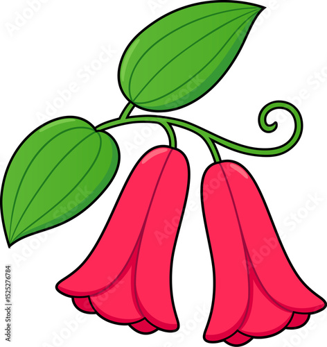 Copihue, Chilean bellflower, national flower of Chile. Cute cartoon drawing, vector clip art illustration isolated on white background.