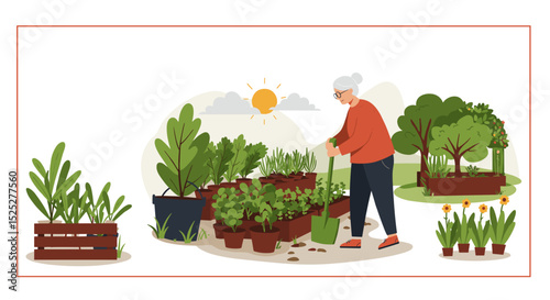 Elderly woman gardening in sunny outdoor environment with plants  