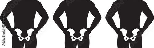 Human Anatomy Posterior Pelvis Bone Structure Illustration