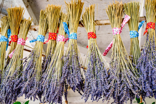 Wallpaper Mural Bunches of dried lavender hang from a display at a local market, showcasing vibrant colors and fragrant herbs during a sunny afternoon in late summer Torontodigital.ca