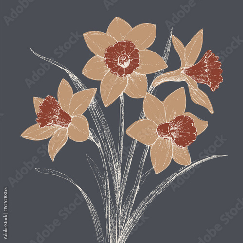 Beautiful daffodils with soft beige petals and rich red centers create charming floral arrangement against dark background