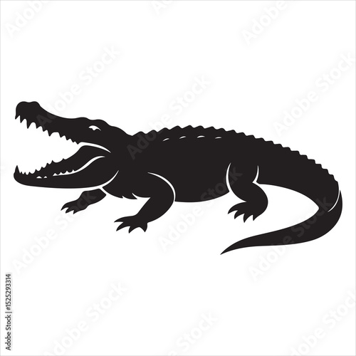 crocodile isolated on white