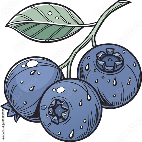 Fresh Blueberries with Water Droplets Illustration