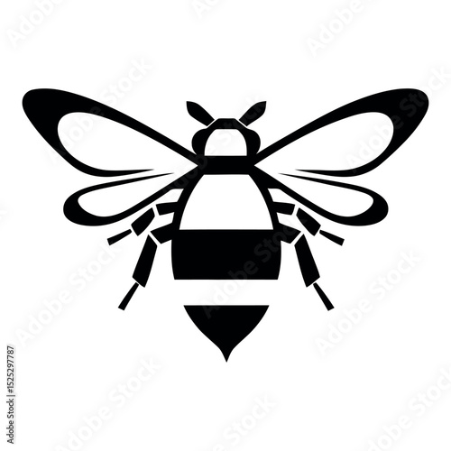 bee vector illustration