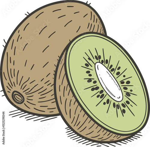 Kiwi Fruit with Brown Skin and Green Flesh Illustration on White Background