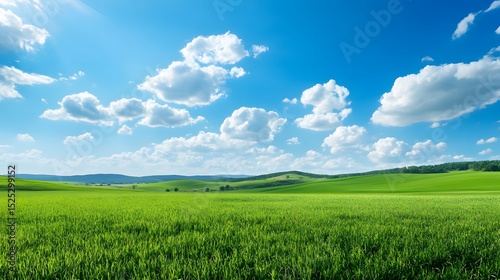 A large, open field with a blue sky and fluffy clouds. The sky is clear and bright, and the grass is lush and green.