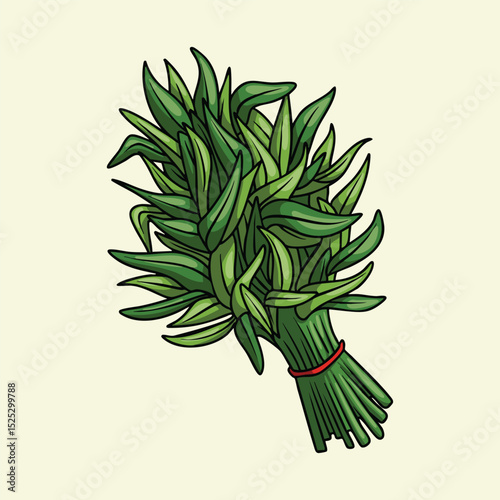Illustration of a water spinach bundle