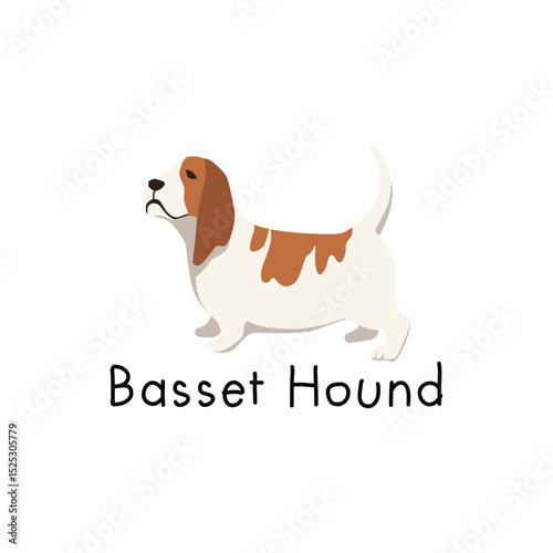 Cute basset hound dog illustration