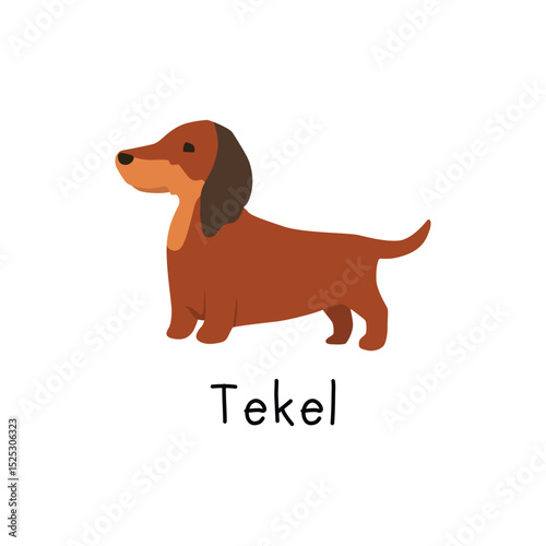 Cute cartoon dachshund dog illustration