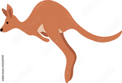 Illustration of a Kangaroo Jumping