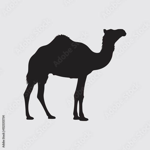 camel vector silhouette illustration
