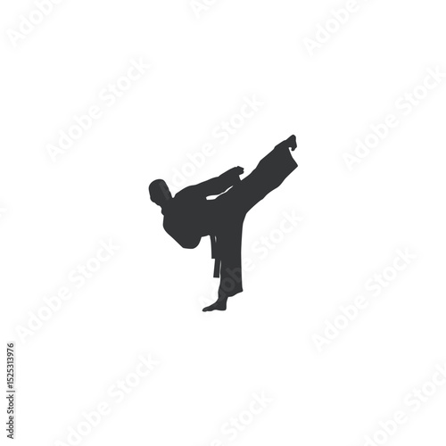Karate athlete silhouette performing side kick dynamic martial arts action