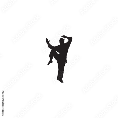 Silhouette of a martial artist performing kung fu stance for self defense practice