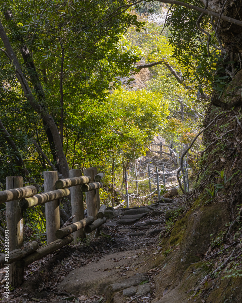 Fototapeta premium Holzzaun markiert einen Wanderweg
