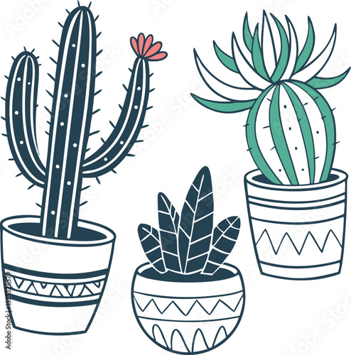 Cute cactus and succulent plants in decorative pots