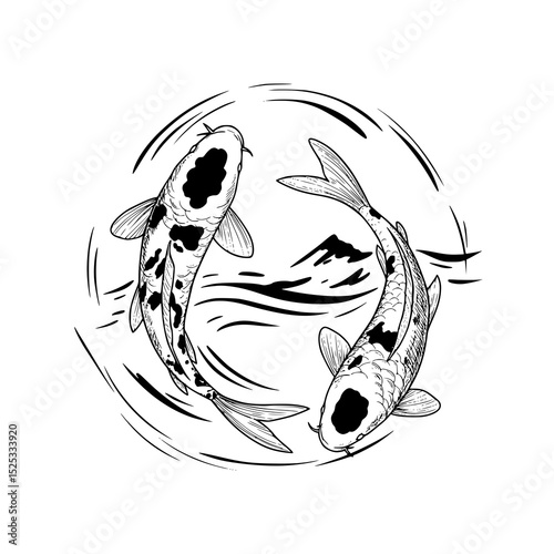 illustration of Koi fish