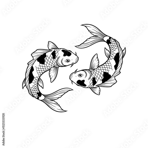 illustration of Koi fish