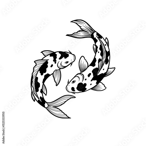 illustration of Koi fish